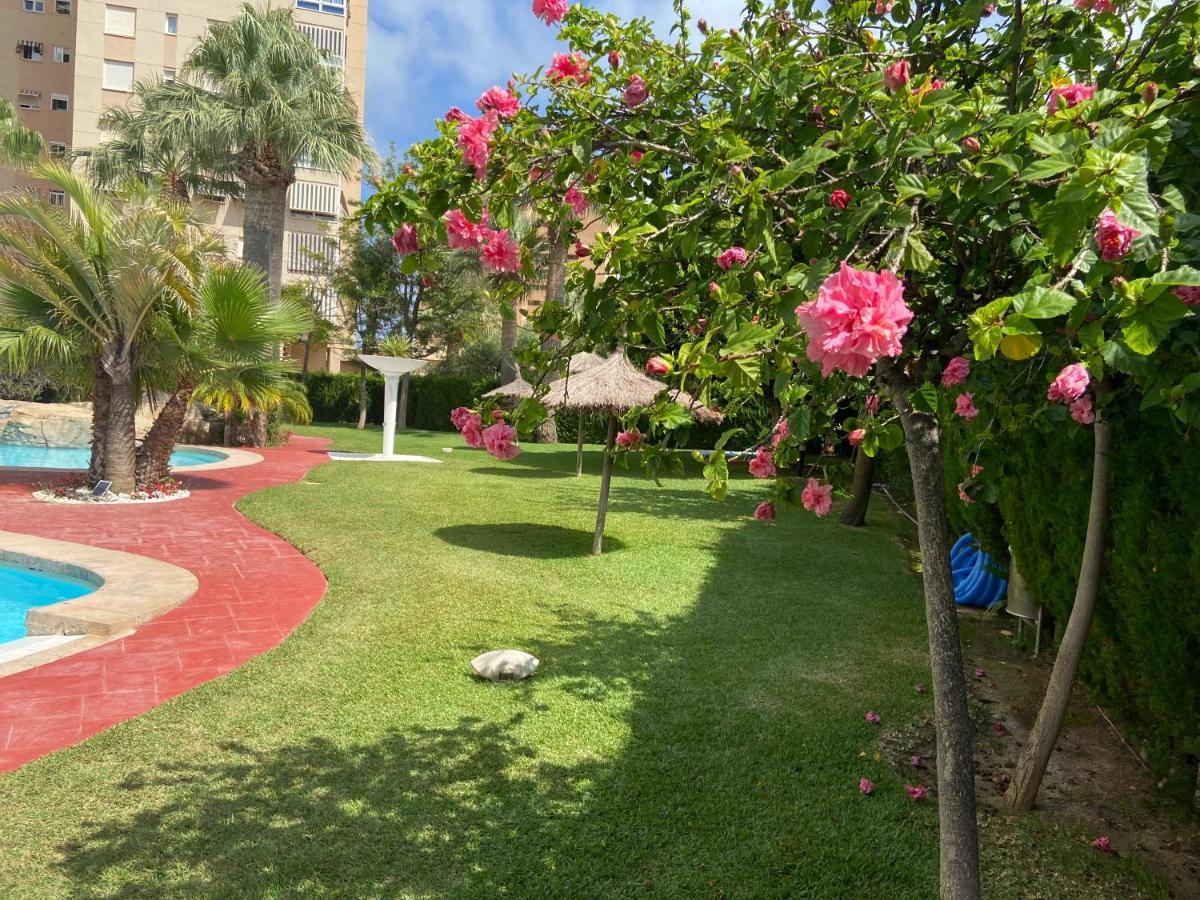 Alicante Apartamento En La Playa Muchavista-San Juan - Marluma Frente Al Mar La Venteta Exterior foto